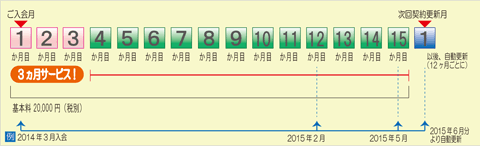 固定制年間一括払い